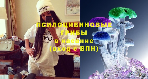 ECSTASY Богородск