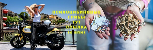 mdma Богданович
