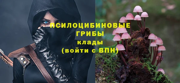 ECSTASY Богородск