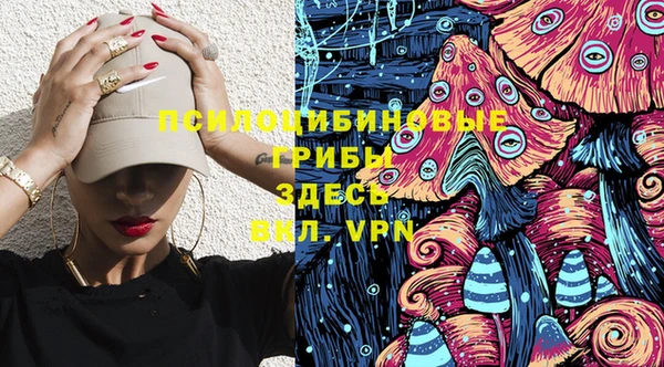 mdma Богданович